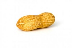 peanut_______127685546