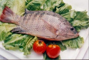 2010051200310456