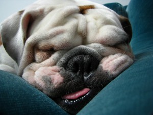2013-01-18-Sleepy