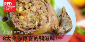 红烧八宝鸭Cover_1