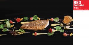 Sofitel Nizza-rt